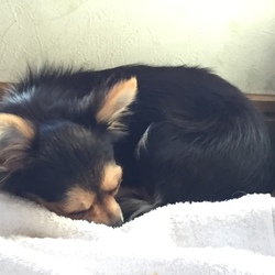 「初旅行」サムネイル2