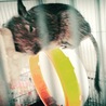 すがりん