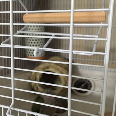 平成27年１０月２５日夕方新居にお引っ越し。