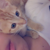 うり