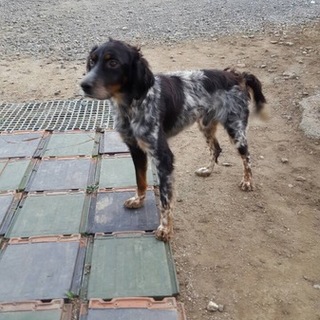 優しい家族決定！