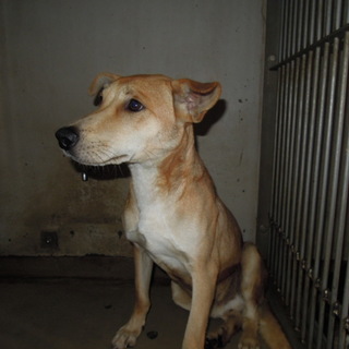 彼には時間がありません！！控えめで優しい子です。