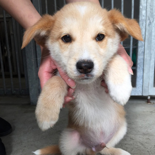 家族ができました♡