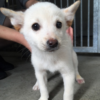 家族ができたよ♡