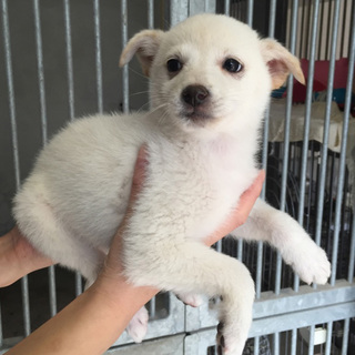 家族が出来ました！