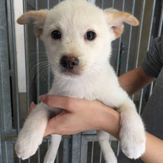 家族決定♡初めての家族ができました！