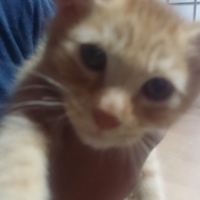 3人兄弟☺の次男坊