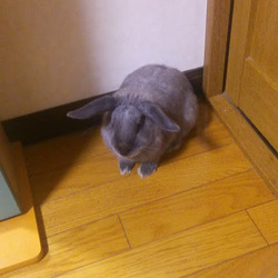 5か月になったよ