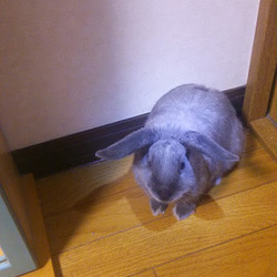 「5か月になったよ」サムネイル2