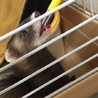可愛がってくれる方 サムネイル6