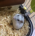 【一時停止】