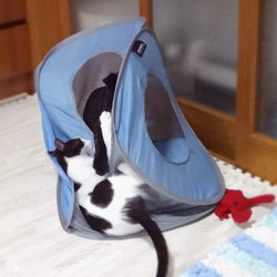 キャットプレイキューブ