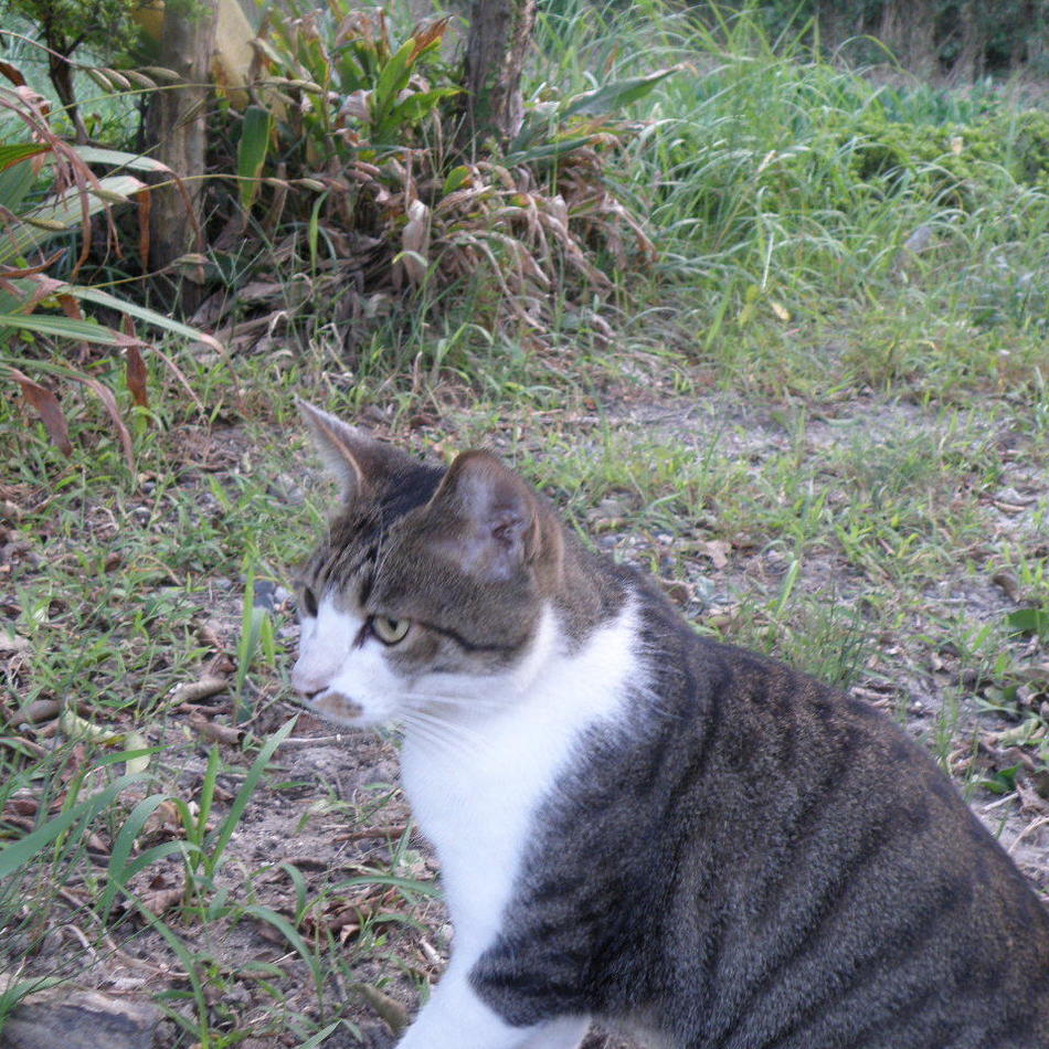おちみのカバー写真