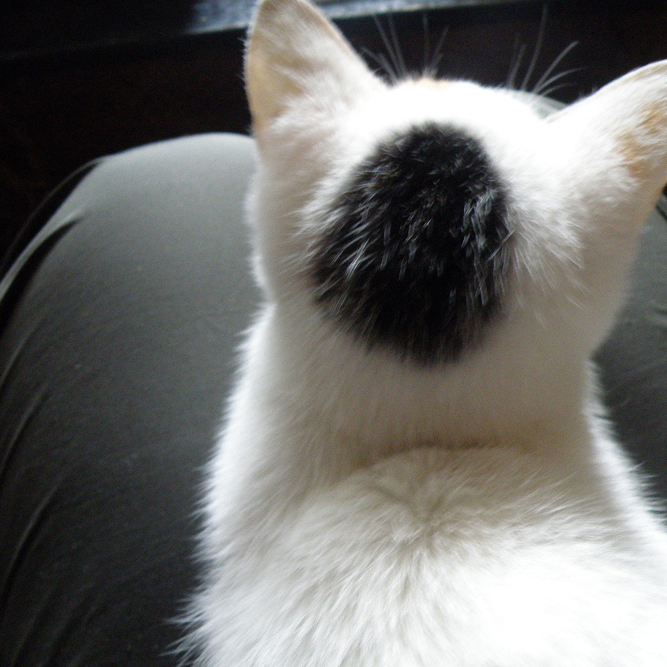 お栄のカバー写真