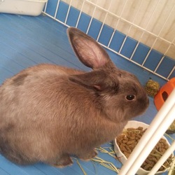 「5か月になったよ」サムネイル3