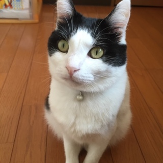 素敵なご家族様とご縁がありました☆