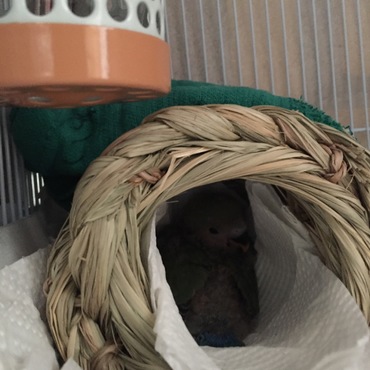 あったかぬくぬく爆睡(-_-)zzz