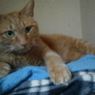 マイペースなちゃん太くん