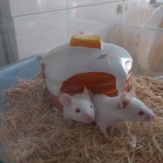 ありがとうございました(*^^*)