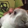 おろちん。