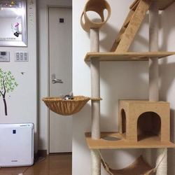 単身者、里親になる26日目