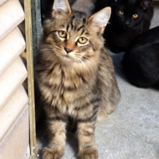 ディオくん　遊び盛りの男の子