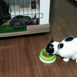 やはり餌は別々に。。。