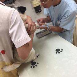 「報告」サムネイル2