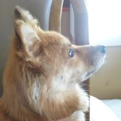 あなたの瞳に映る世界が・・・