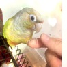 握手♪