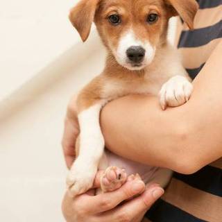   応募多数につき、一旦、募集停止します！