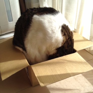 箱にみっちり