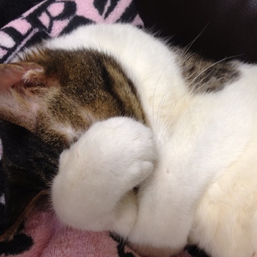 (自分が)好きすぎてどーん