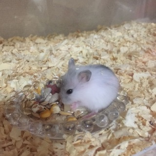 ありがとうございました！