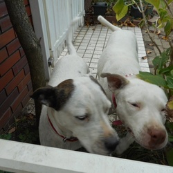 母さん  おかえりなさ〜い❗️