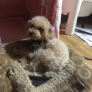 元気いっぱい☆