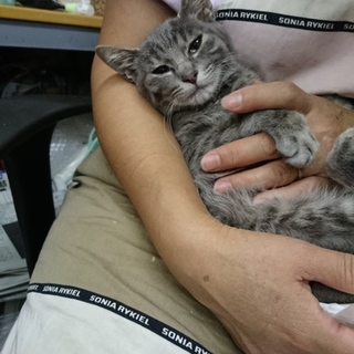 沢山のご応募ありがとうございました