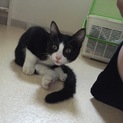素敵な家族ができました♪