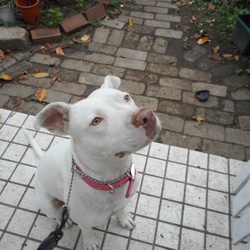 変身❗️   カミカミマン