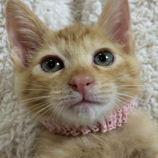 ゴロゴロで活発な男の子！