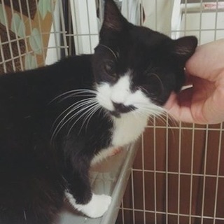 甘えん坊のおっとりフィリちゃん