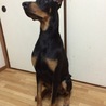 大事に育てて下さる方募集 サムネイル2