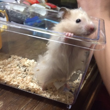 はじめまして！