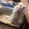 はじめまして！
