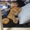 仲良く一緒に爆睡中〜♡