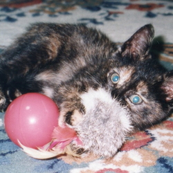 「14年半♪」サムネイル1