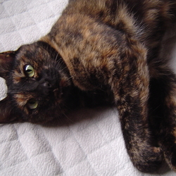 「14年半♪」サムネイル2