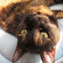 「14年半♪」サムネイル3