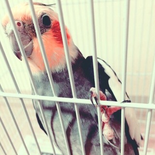 募集してます、心優しい理解のある方。