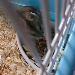 私が寝る前の様子